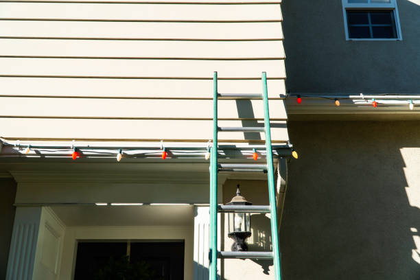 Best Aluminum Siding Installation  in Meiners Oaks, CA